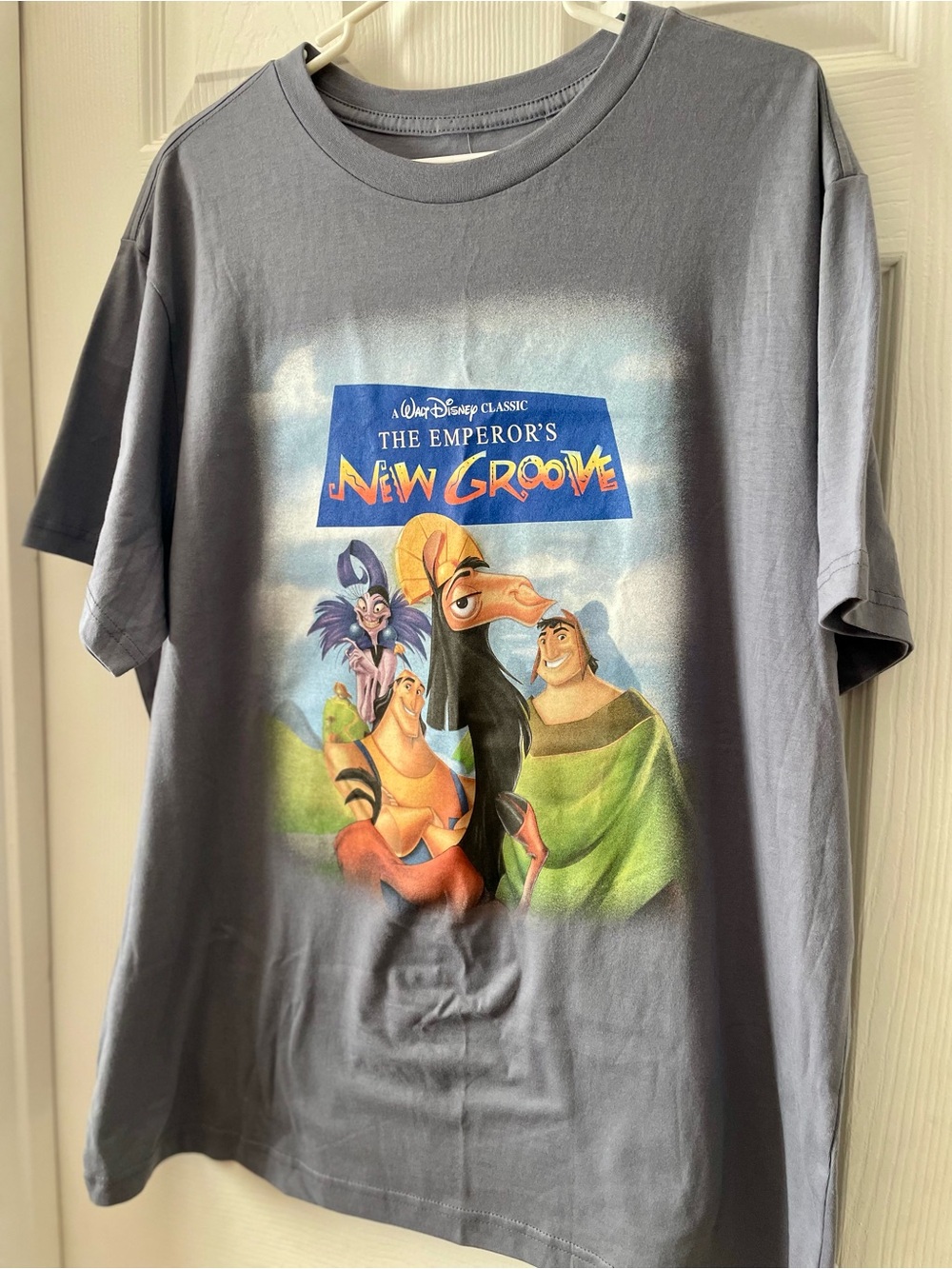 Disney The Emperor's New Groove Graphic Tee - Gray, Blue, Yellow